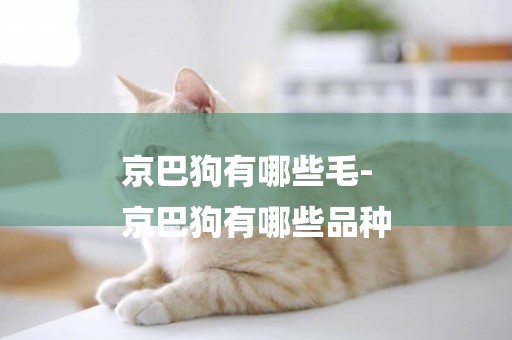 京巴狗有哪些毛-
京巴狗有哪些品種
