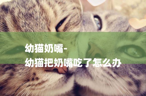 幼貓奶嘴-
幼貓把奶嘴吃了怎么辦