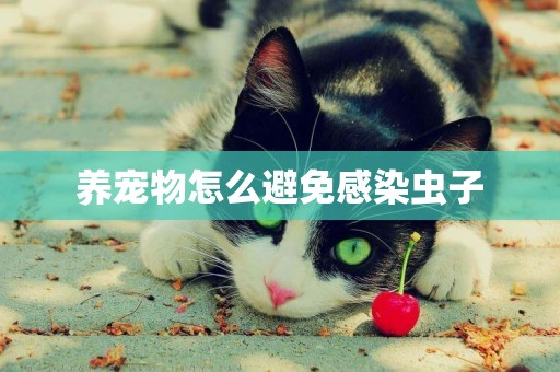養寵物怎么避免感染蟲子