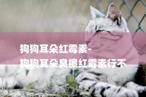 狗狗耳朵紅霉素-
狗狗耳朵臭擦紅霉素行不
