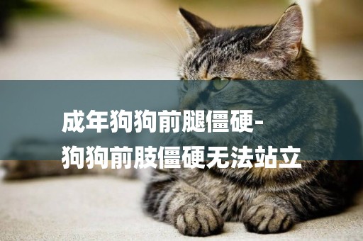 成年狗狗前腿僵硬-
狗狗前肢僵硬無法站立
