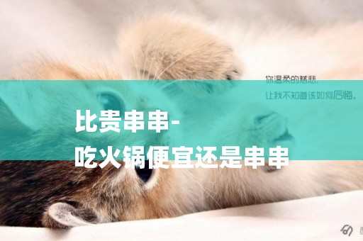 比貴串串-
吃火鍋便宜還是串串