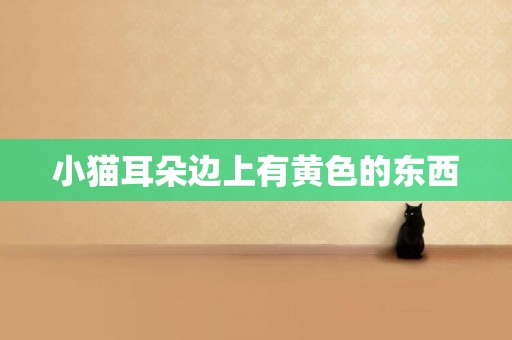 小貓耳朵邊上有黃色的東西