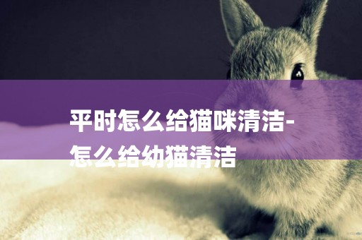 平時怎么給貓咪清潔-
怎么給幼貓清潔