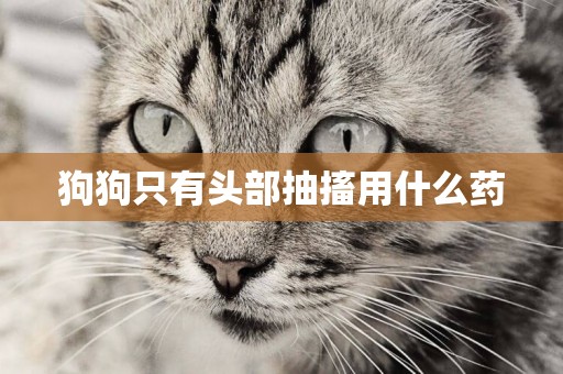 狗狗只有頭部抽搐用什么藥
