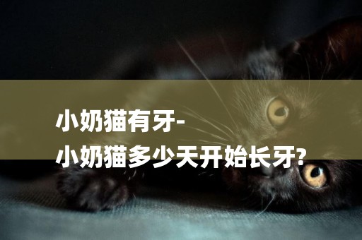 小奶貓有牙-
小奶貓多少天開始長牙?