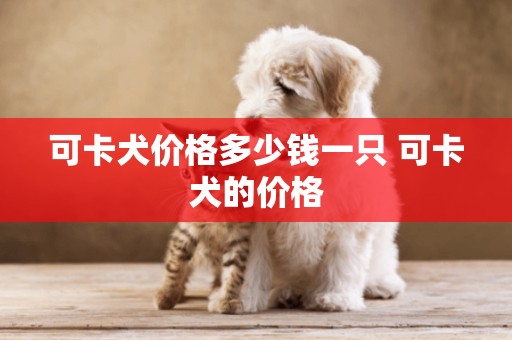 可卡犬價格多少錢一只 可卡犬的價格