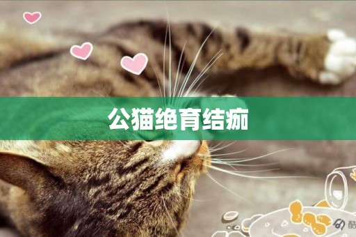 公貓絕育結痂