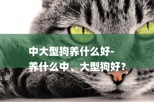 中大型狗養什么好-
養什么中、大型狗好？