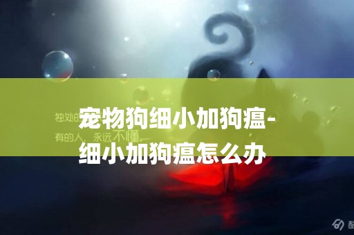 寵物狗細小加狗瘟-
細小加狗瘟怎么辦