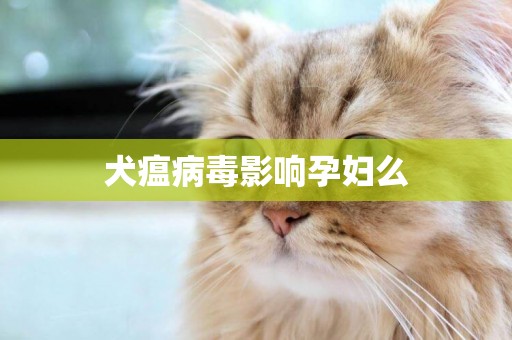 犬瘟病毒影響孕婦么