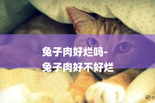 兔子肉好爛嗎-
兔子肉好不好爛