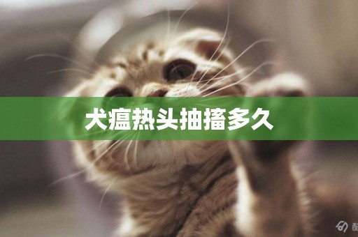 犬瘟熱頭抽搐多久