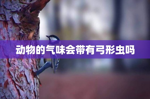 動物的氣味會帶有弓形蟲嗎