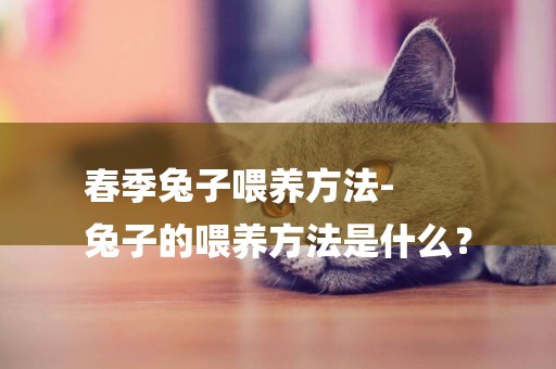 春季兔子喂養方法-
兔子的喂養方法是什么？