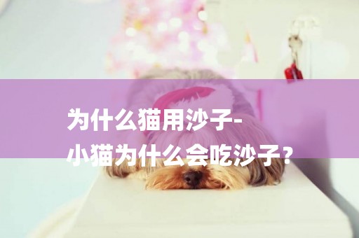 為什么貓用沙子-
小貓為什么會吃沙子？