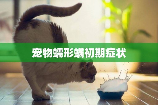 寵物蠕形螨初期癥狀