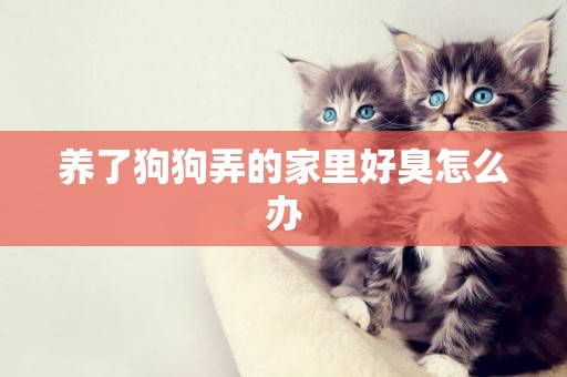 養了狗狗弄的家里好臭怎么辦