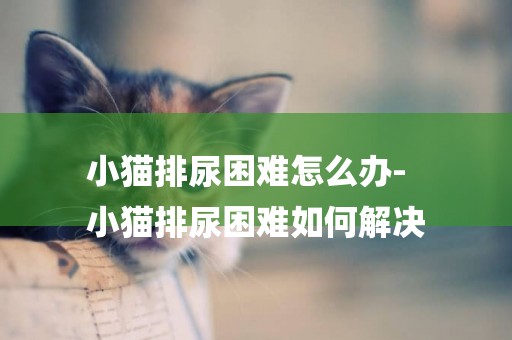 小貓排尿困難怎么辦-
小貓排尿困難如何解決