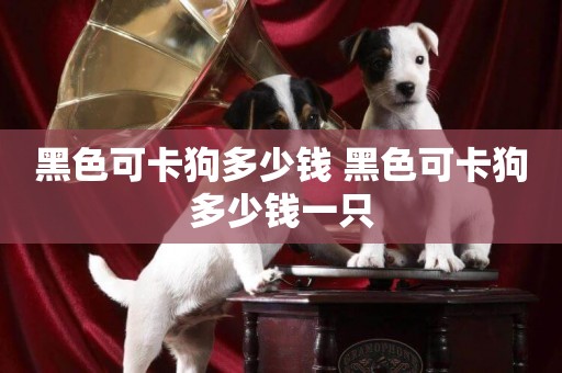 黑色可卡狗多少錢 黑色可卡狗多少錢一只