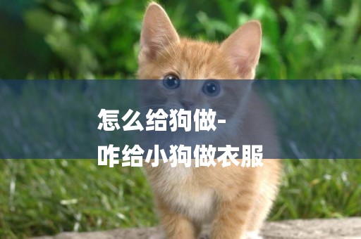 怎么給狗做-
咋給小狗做衣服