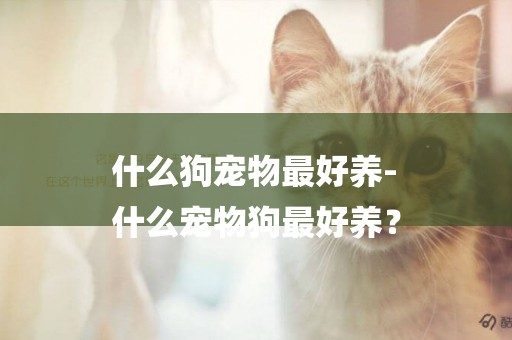 什么狗寵物最好養-
什么寵物狗最好養？