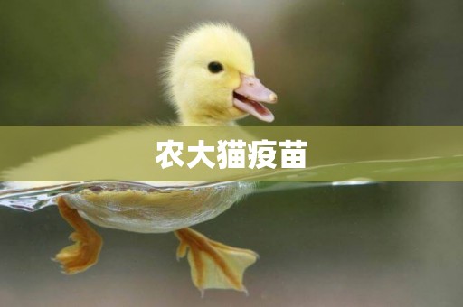 農大貓疫苗