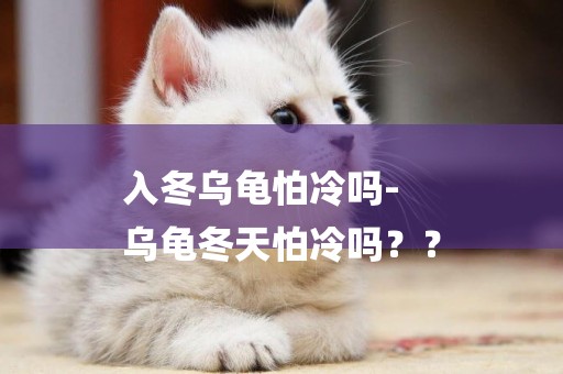 入冬烏龜怕冷嗎-
烏龜冬天怕冷嗎？？