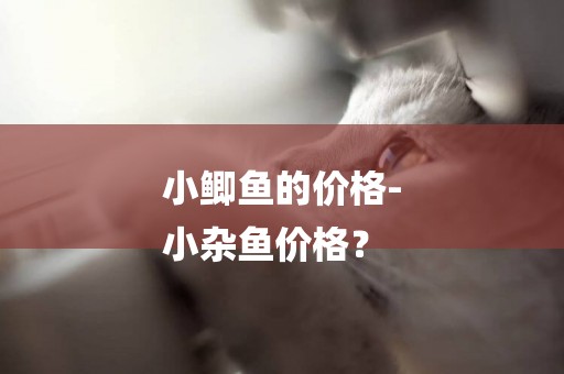 小鯽魚的價格-
小雜魚價格？
