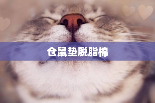 倉鼠墊脫脂棉