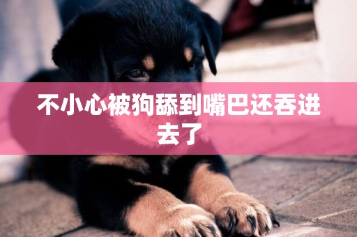 不小心被狗舔到嘴巴還吞進去了