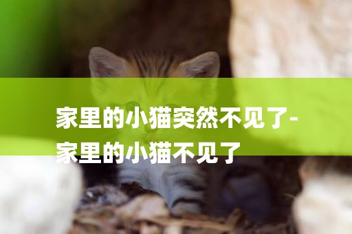 家里的小貓突然不見了-
家里的小貓不見了