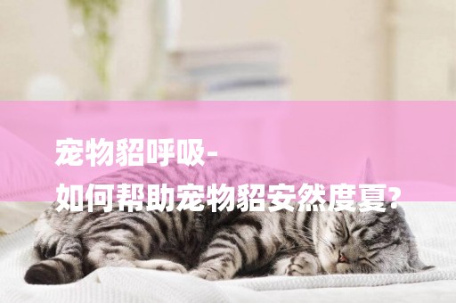 寵物貂呼吸-
如何幫助寵物貂安然度夏?