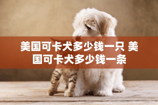 美國可卡犬多少錢一只 美國可卡犬多少錢一條