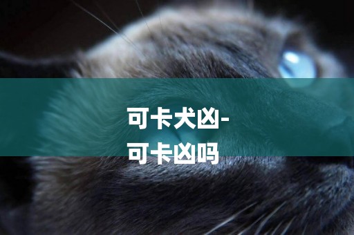 可卡犬兇-
可卡兇嗎