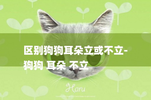 區別狗狗耳朵立或不立-
狗狗 耳朵 不立