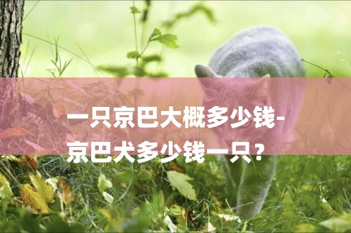 一只京巴大概多少錢-
京巴犬多少錢一只？