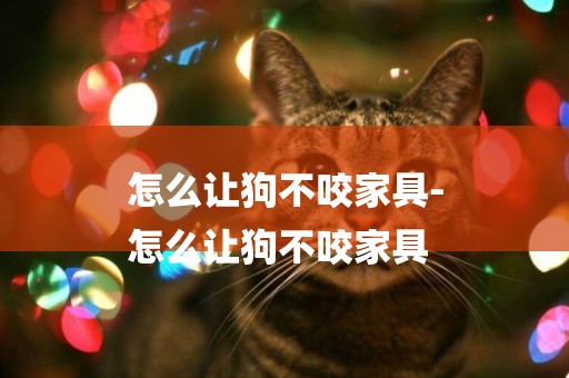 怎么讓狗不咬家具-
怎么讓狗不咬家具