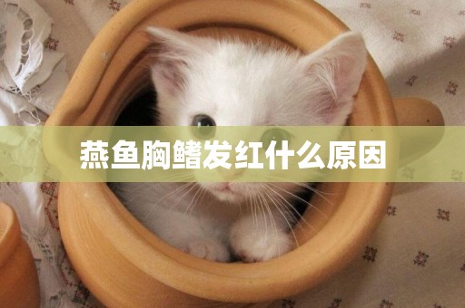 燕魚胸鰭發紅什么原因