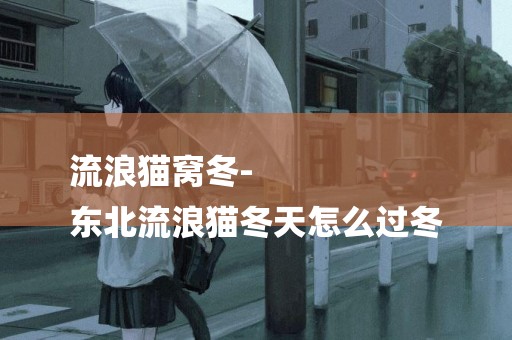 流浪貓窩冬-
東北流浪貓冬天怎么過冬