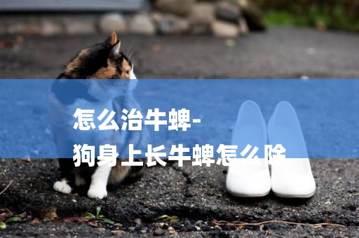 怎么治牛蜱-
狗身上長牛蜱怎么除