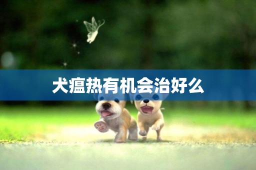 犬瘟熱有機會治好么
