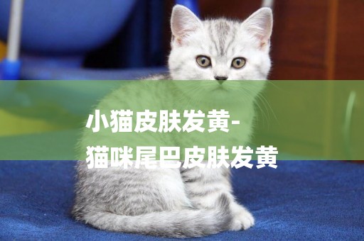 小貓皮膚發黃-
貓咪尾巴皮膚發黃