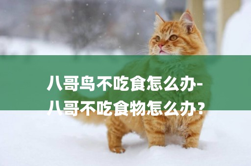 八哥鳥不吃食怎么辦-
八哥不吃食物怎么辦？