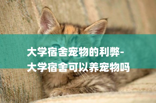 大學宿舍寵物的利弊-
大學宿舍可以養寵物嗎