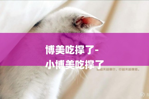 博美吃撐了-
小博美吃撐了
