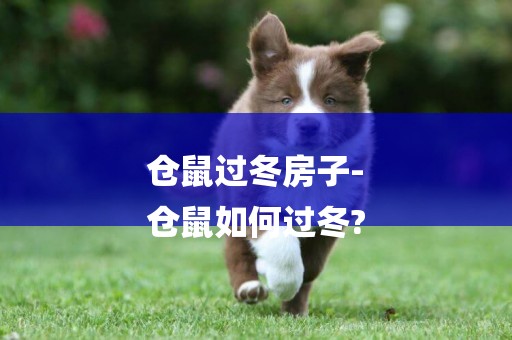 倉鼠過冬房子-
倉鼠如何過冬?