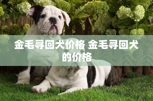 金毛尋回犬價格 金毛尋回犬的價格