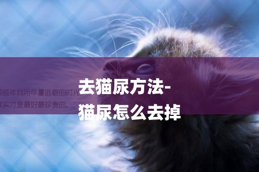 去貓尿方法-
貓尿怎么去掉