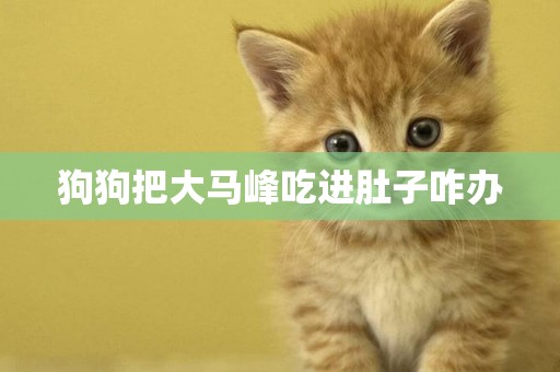 狗狗把大馬峰吃進肚子咋辦